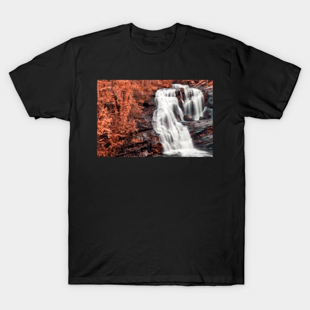 Bald Salmon River Falls T-Shirt by somadjinn